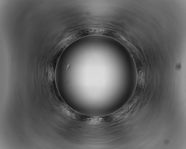 X0000101170474200806271039