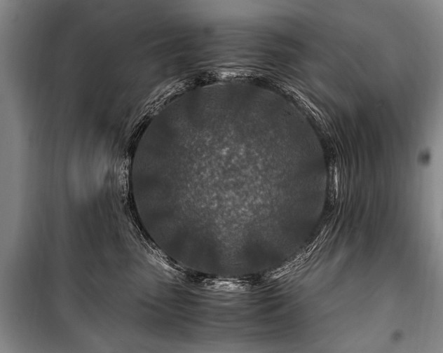 X0000101170475200806271039