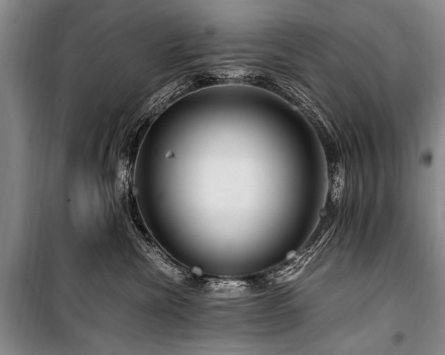 X0000101170476200806271039