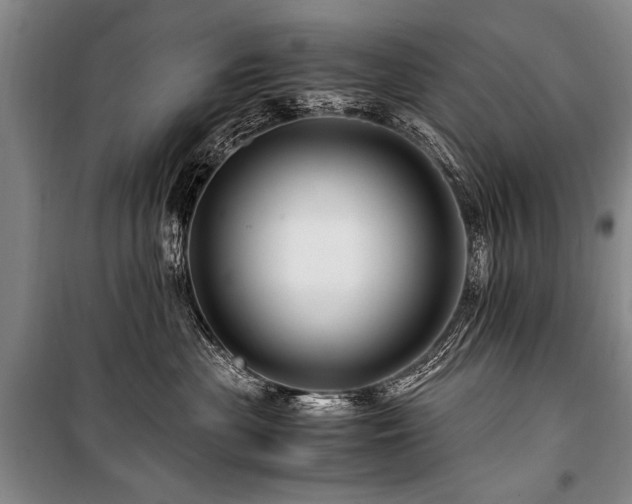 X0000101170477200806271039
