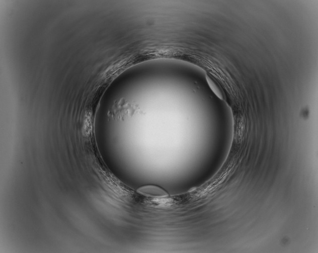 X0000101170478200806271039