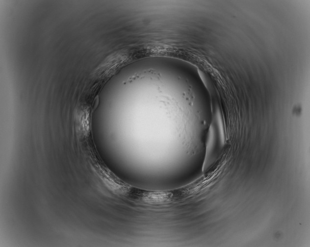 X0000101170479200806271039