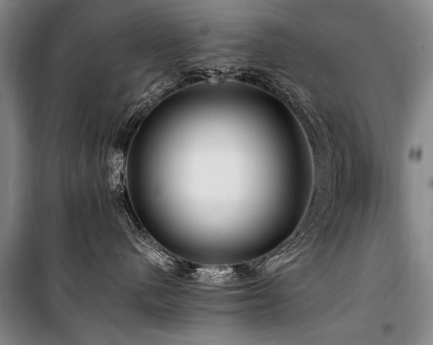 X0000101170480200806271039