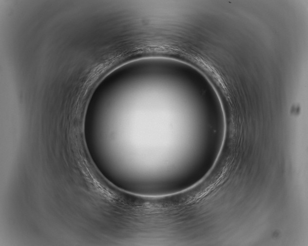 X0000101170481200806271038