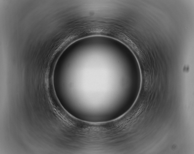 X0000101170482200806271038