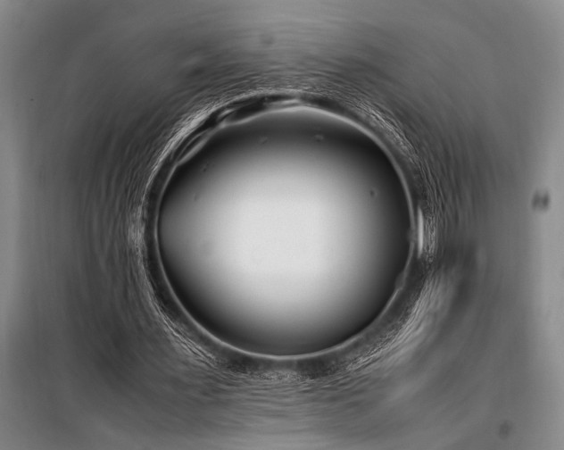 X0000101170483200806271038
