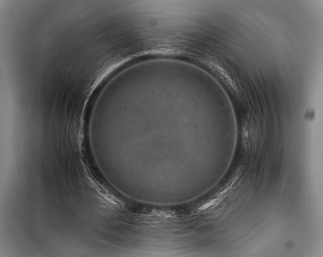 X0000101170484200806271038