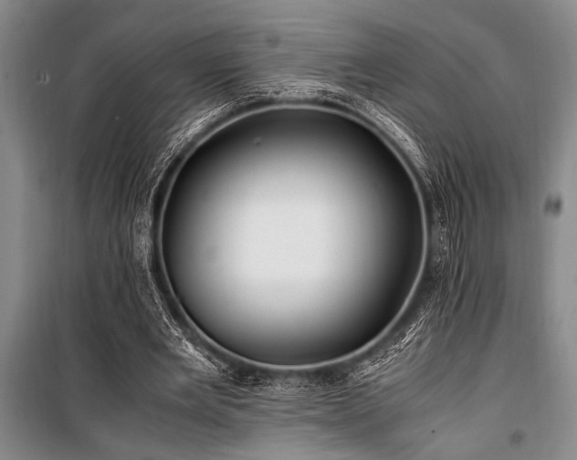 X0000101170485200806271038