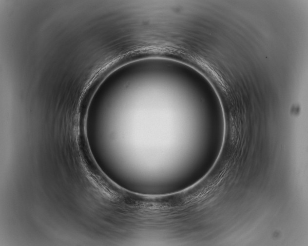 X0000101170486200806271038