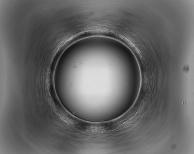X0000101170487200806271038