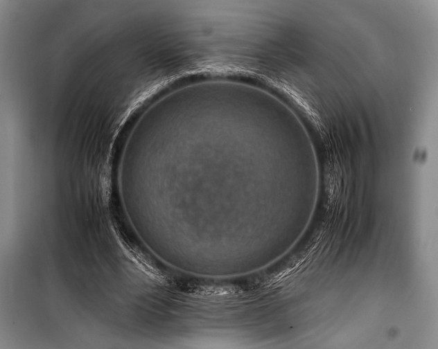X0000101170488200806271038