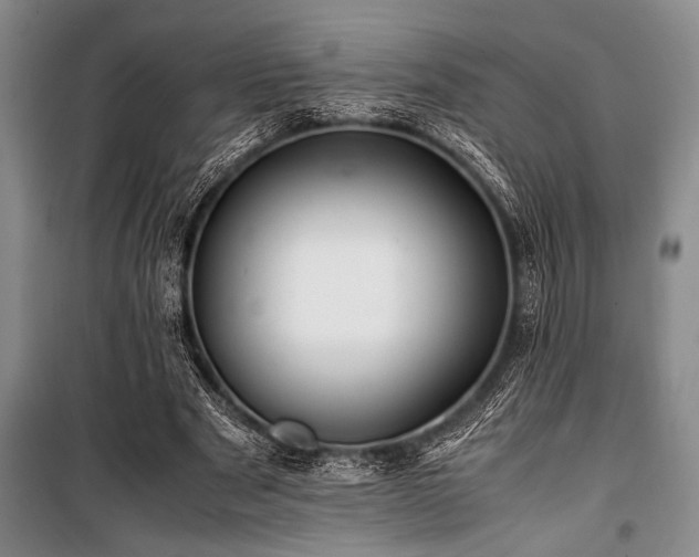 X0000101170489200806271038