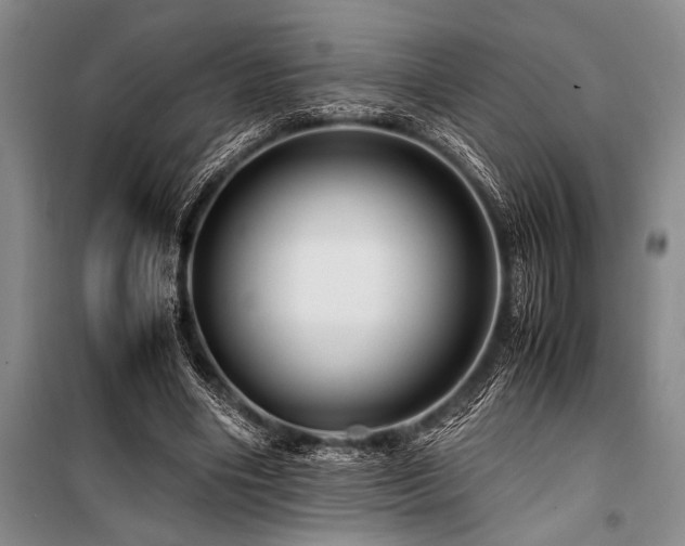 X0000101170490200806271038
