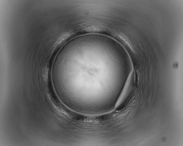 X0000101170491200806271038