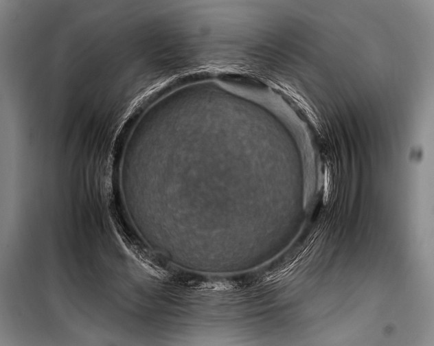 X0000101170492200806271038