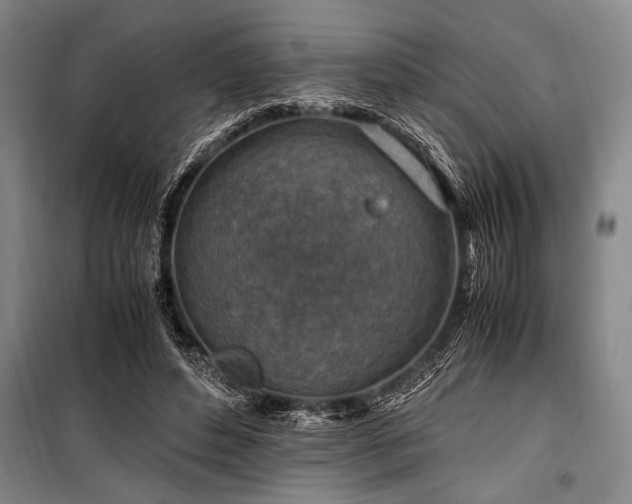 X0000101170496200806271038