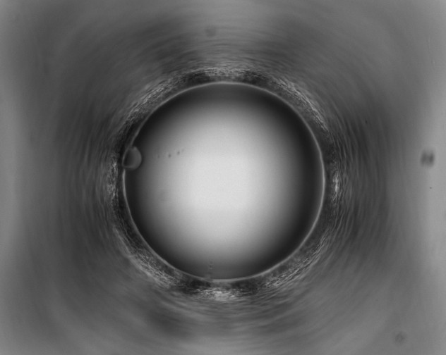 X0000101170498200806271038
