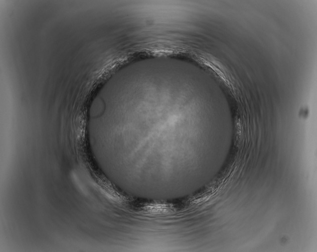 X0000101170499200806271038