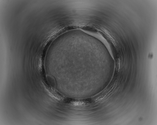 X0000101170500200806271038