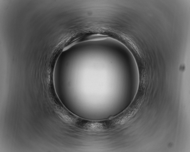 X0000101170501200806271038