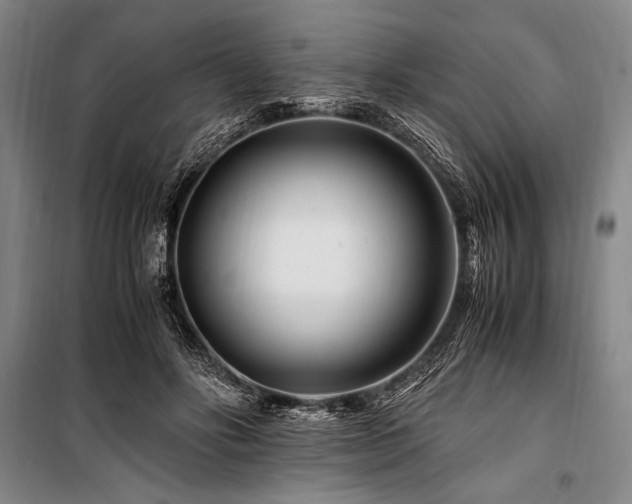 X0000101170502200806271038