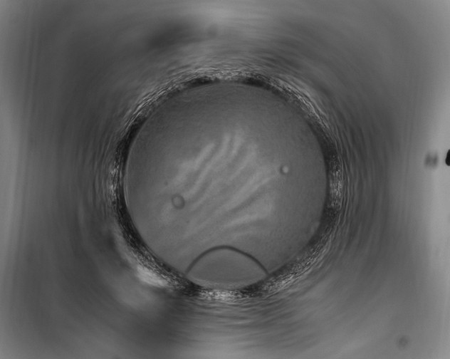 X0000101170503200806271038