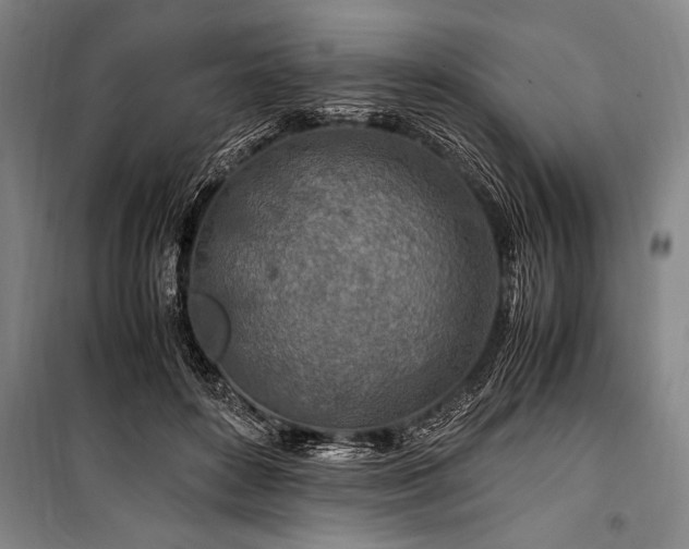 X0000101170504200806271038