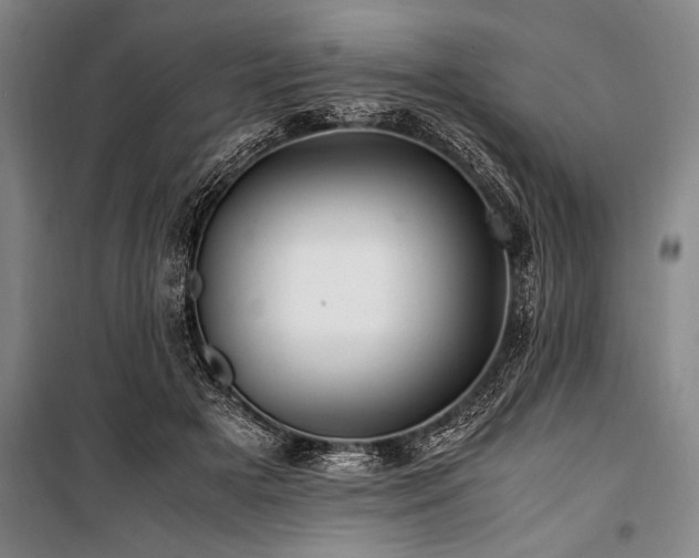 X0000101170505200806271038