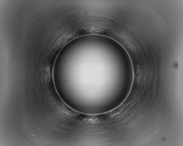 X0000101170506200806271038