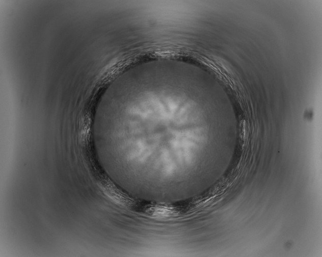X0000101170507200806271038