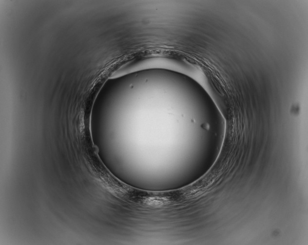 X0000101170508200806271038