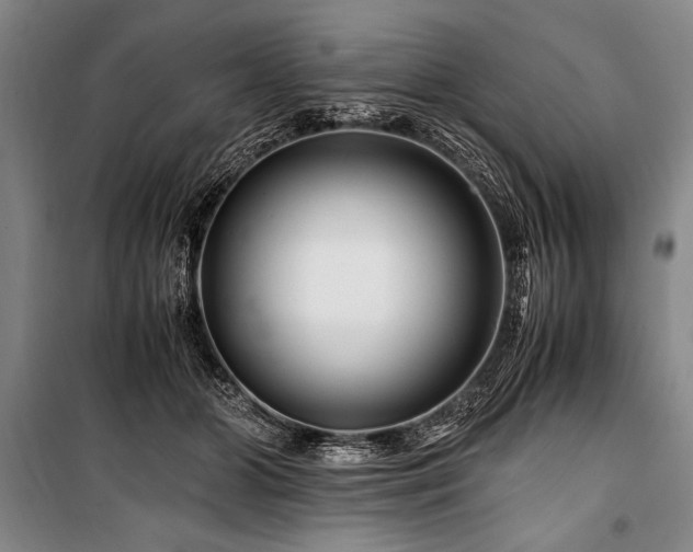 X0000101170510200806271037