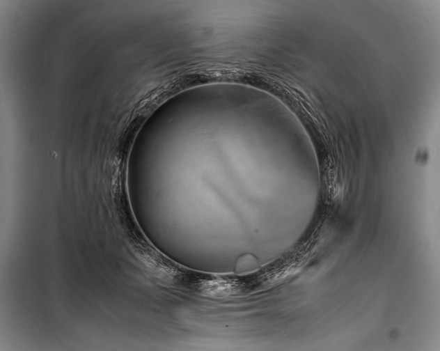 X0000101170511200806271037
