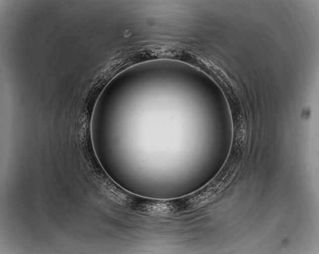 X0000101170513200806271037