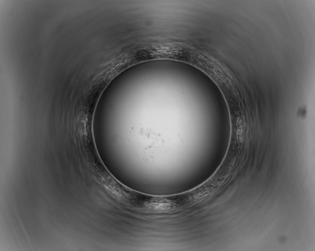 X0000101170514200806271037