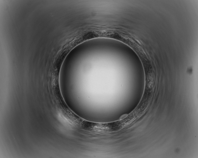 X0000101170515200806271037