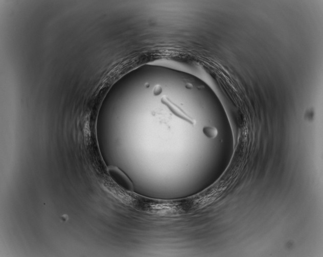 X0000101170516200806271037