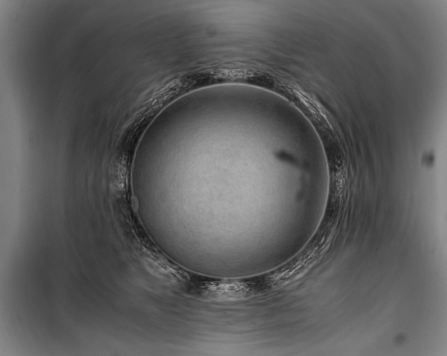 X0000101170517200806271037