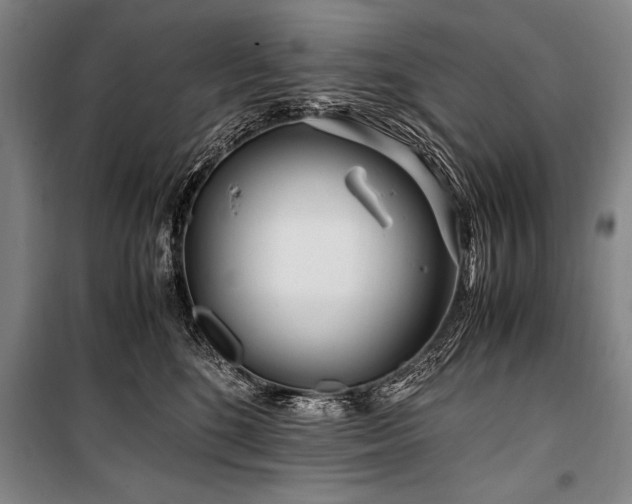 X0000101170520200806271037