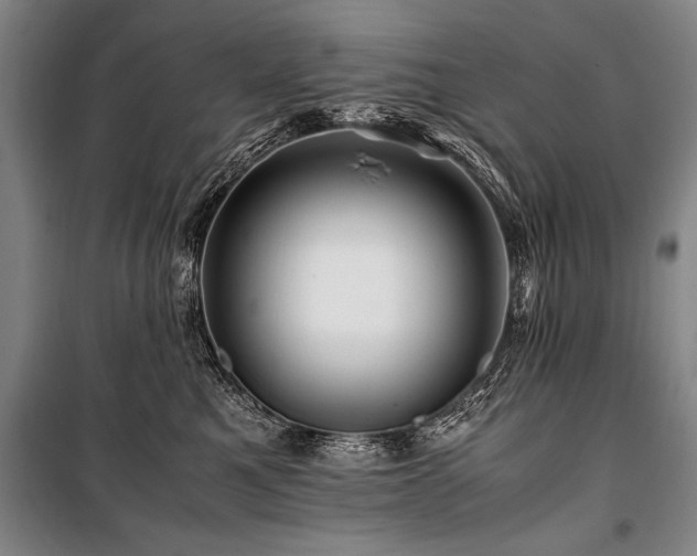 X0000101170521200806271037