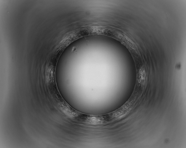 X0000101170522200806271037