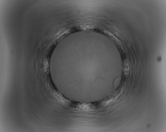 X0000101170523200806271037
