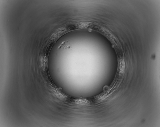 X0000101170525200806271037
