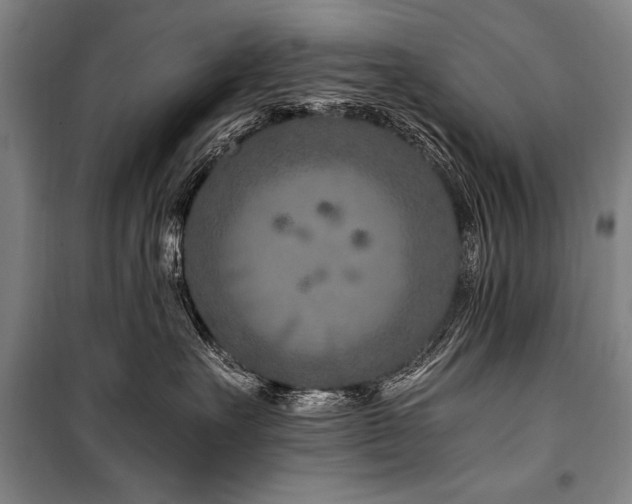 X0000101170527200806271037