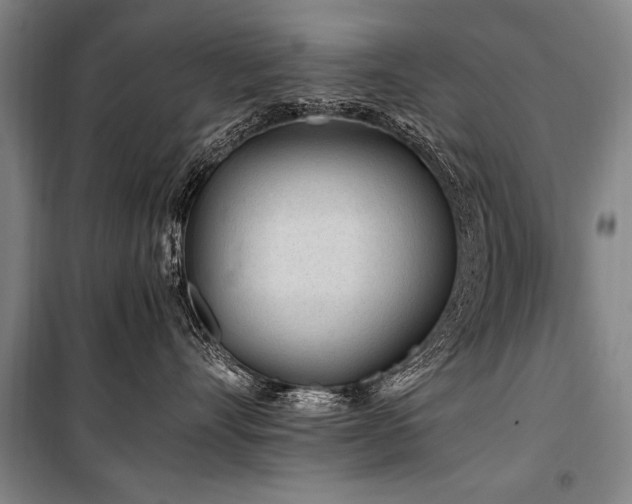 X0000101170528200806271037