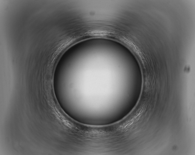 X0000101170529200806271036