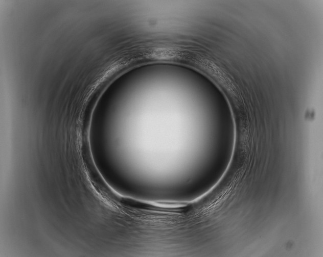 X0000101170530200806271036