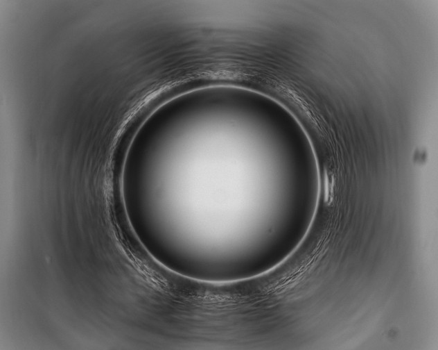 X0000101170531200806271036