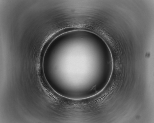 X0000101170532200806271036