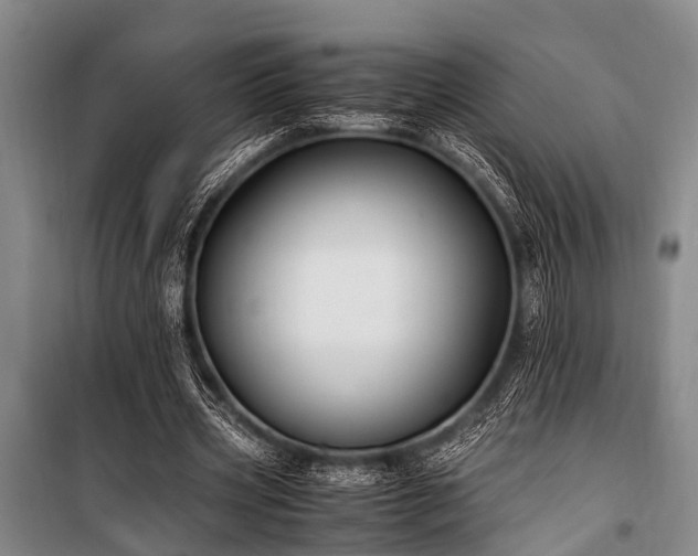 X0000101170533200806271036